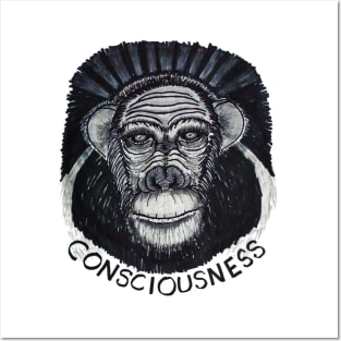 Conciousness Posters and Art